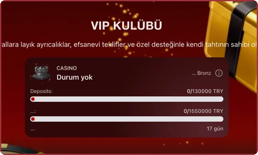 Seviye ilerlemesini gösteren kart ve yatırımları izleyen çubuk içeren sadakat kulübü sayfası görünümü